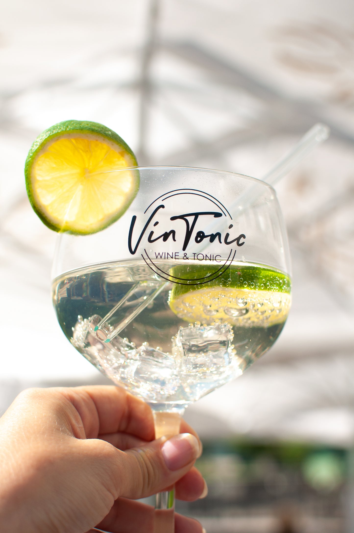 VINTONIC | 6 x 0,75 L