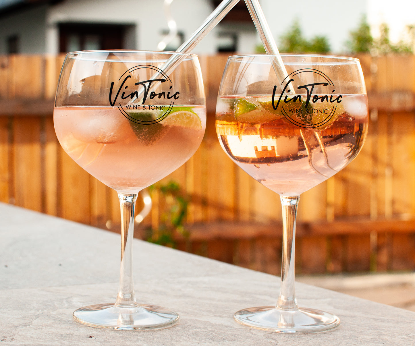 VINTONIC Rosé | 6 x 0,75 L